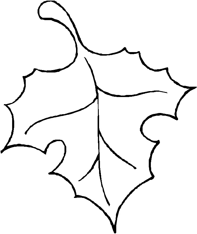 Pumpkin Leaf Outline Clipart