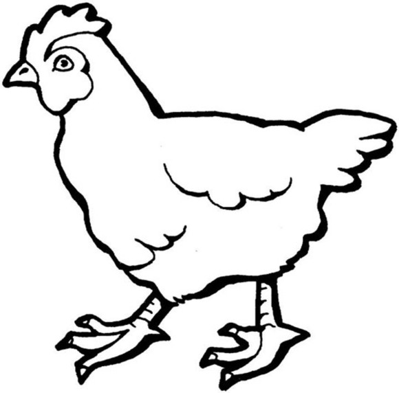 Hen clipart outline