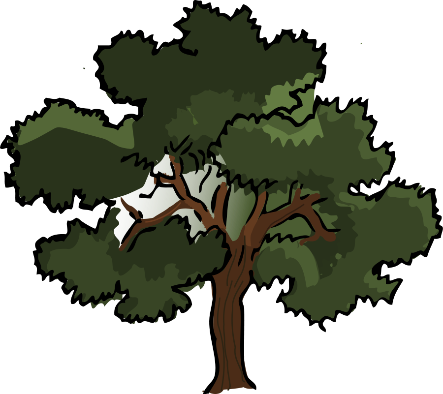 Oak tree image cartoon big tree images clip art image #24888