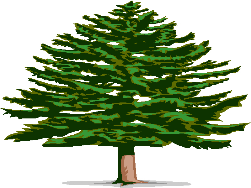 Image of Bonsai Tree Clipart #5087, All Cliparts Bonsai Clipart ...