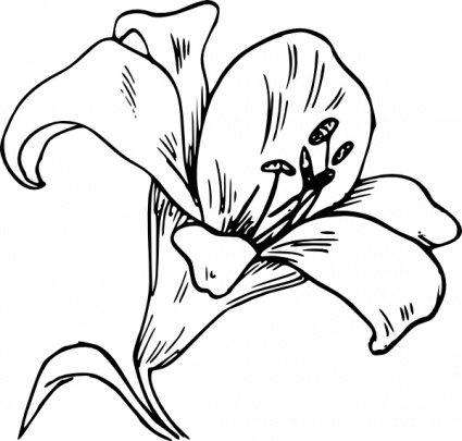 Free Calla Lily Clip Art