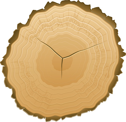 Tree Stump Clip Art, Vector Images & Illustrations