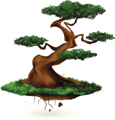 Bonsai Tree Soil Clip Art, Vector Images & Illustrations