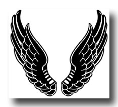 black-angel-wings-3-tn.jpg