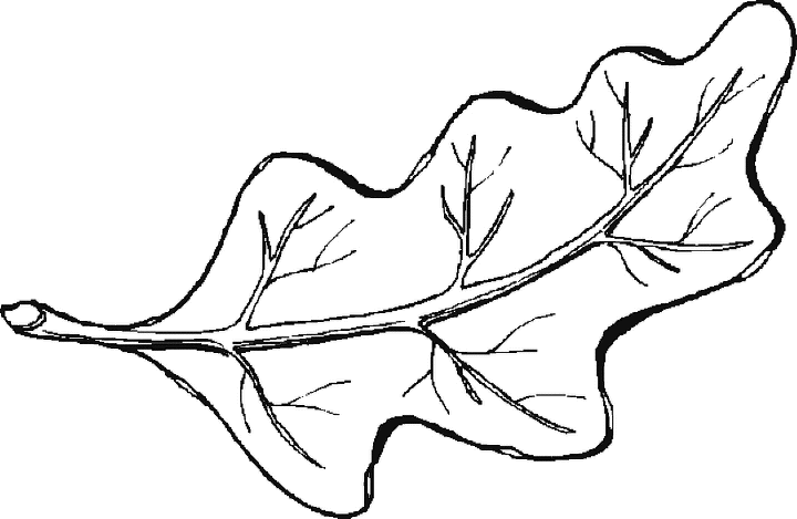 31 Leaf Coloring Pages Leaf-coloring-pictures-1 – Free Coloring ...