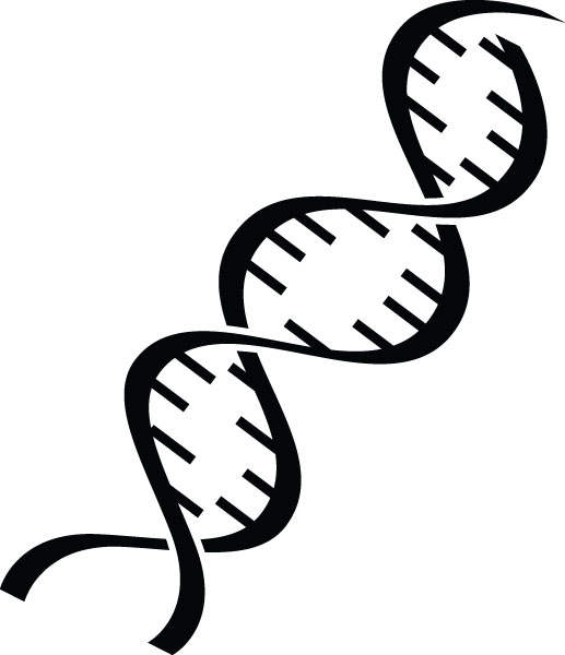 Medical Double Helix DNA Clip Art For Custom Products