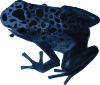 Azureus Frog Clip Art