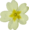 Flower 4 Clip Art