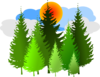 Pine Tree Grouping 2 Clip Art