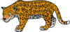 Cheetah Clip Art