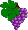 Grape With Vine Leaf Clip Art