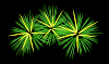 Green And Yellow Fireworks Clip Art