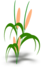 Plant Clip Art