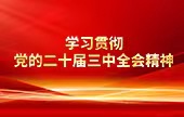 å­¦ä¹ è´¯å½»å…šçš„äºŒåå±Šä¸‰ä¸­å…¨ä¼šç²¾ç¥ž