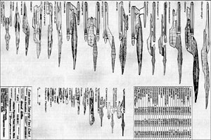 Federation Starship Fleet Chart