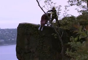 Dem Ad Shows Ryan Pushing Grandma Off A Cliff