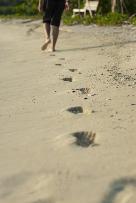 6322   Person walking away across a beach