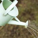 17836   Person using a vintage watering can in a garden