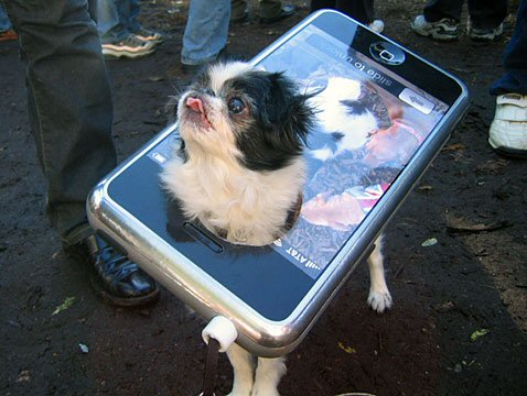 happy birthday funny dog. dog and iphone. Happy Birthday