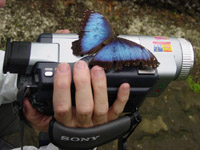 Morpho on camera