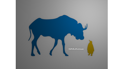 &nbsp;[Gnu and Tux wallpaper, colored shapes]&nbsp;