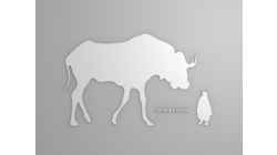 &nbsp;[Gnu and Tux wallpaper, white shapes]&nbsp;