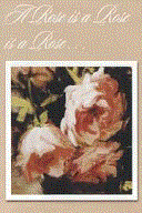 Helen Van Wyk . Com A Rose is a Rose