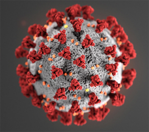 coronovirus