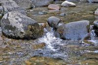 Snow Creek, below the falls