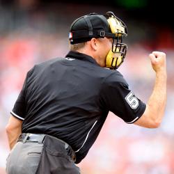 130815_SNUT_BaseballReplayChallengeUmpire.jpg.CROP.article250-medium