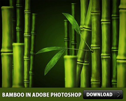 11 Adobe Photoshop PSD Free Download Images