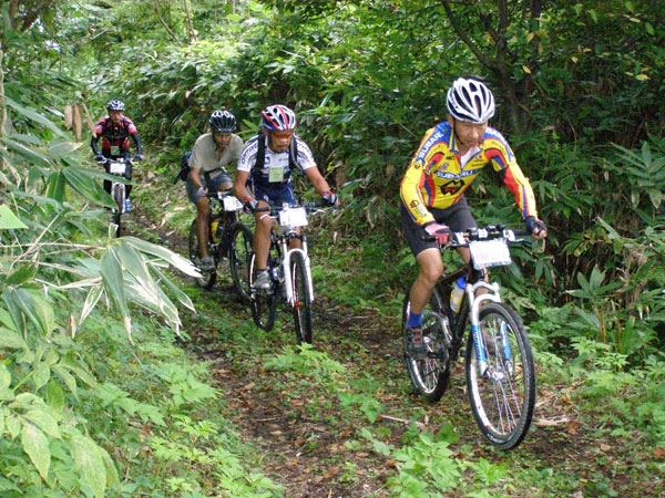 mountain bike wallpaper. Mountain Bike Race