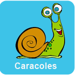 Caracoles