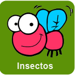 insectos