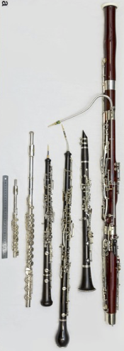 photo of woodwinds with 300 mm rule