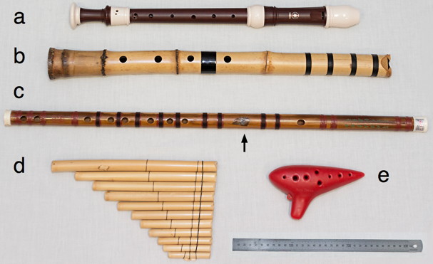 recorder, dizi, shakuhachi, pan pipes and ocarina