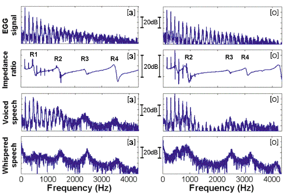 graphs showing spectra relating to the source filter model