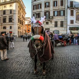 ChristmastimeatPantheon