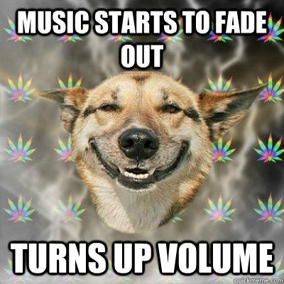 music starts to fade out turns up volume  Stoner Dog