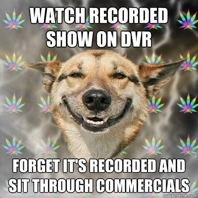 Watch recorded show on DVR forget it's recorded and sit through commercials  Stoner Dog