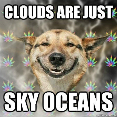 Clouds are just Sky oceans  Stoner Dog