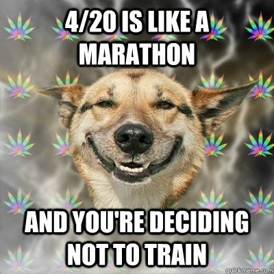 4/20 is like a marathon and you're deciding not to train  Stoner Dog