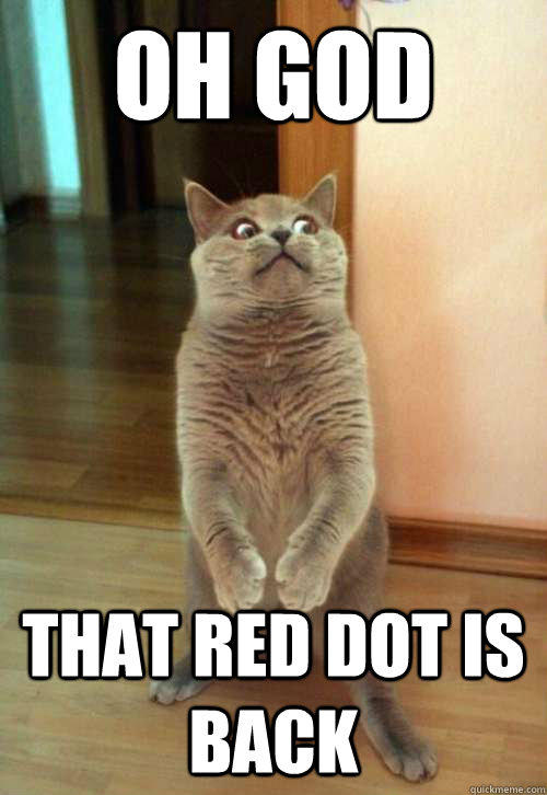 Oh god that red dot is back  Horrorcat