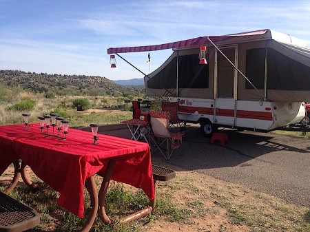 The Tangerine Turtle from Starling Travel