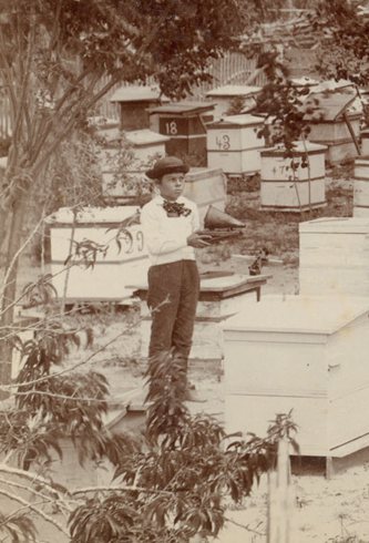 O'Quinn Texas bee keeper