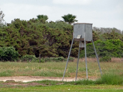 Lamar TX - Grain Feeder