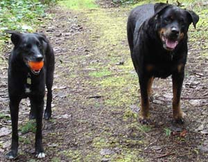 Bruno and Oosa