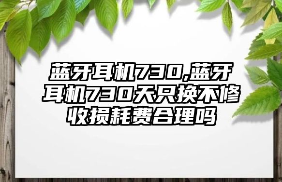 è—ç‰™è€³æ©Ÿ730,è—ç‰™è€³æ©Ÿ730å¤©åªæ›ä¸ä¿®æ”¶æè€—è²»åˆç†å—Ž