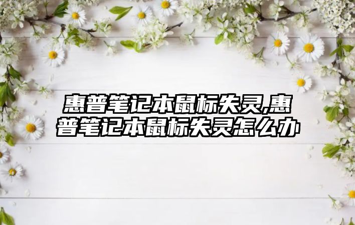 æƒ æ™®ç­†è¨˜æœ¬é¼ æ¨™å¤±éˆ,æƒ æ™®ç­†è¨˜æœ¬é¼ æ¨™å¤±éˆæ€Žä¹ˆè¾¦