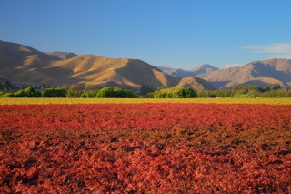 Eclipse Totale Soleil 2019 Oc&eacute;an Pacifique Sud Chili Argentine